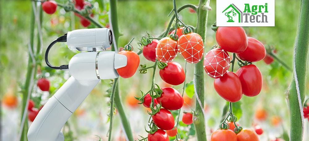 Eerste voucherronde innovatieprogramma AgriTech open tot 21 juni